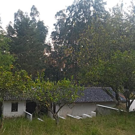 Villa Quinta Los Eucaliptos Quito Exterior foto